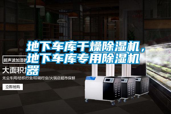 地下車庫干燥除濕機(jī)，地下車庫專用除濕機(jī)器