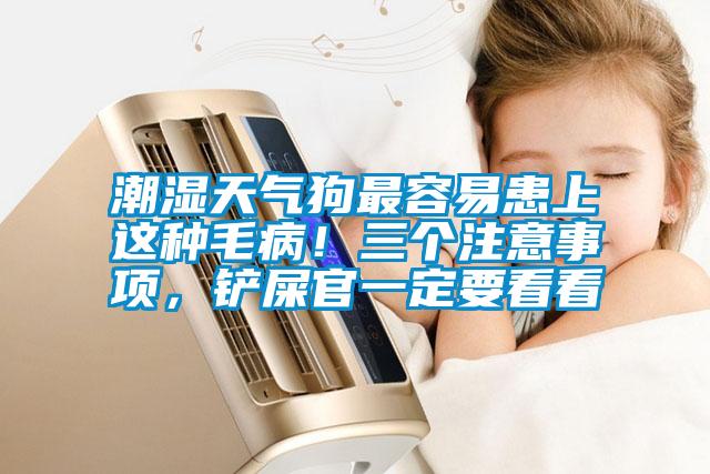 潮濕天氣狗最容易患上這種毛?div   id=