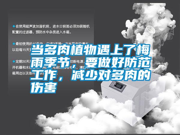 當(dāng)多肉植物遇上了梅雨季節(jié)<div   id=