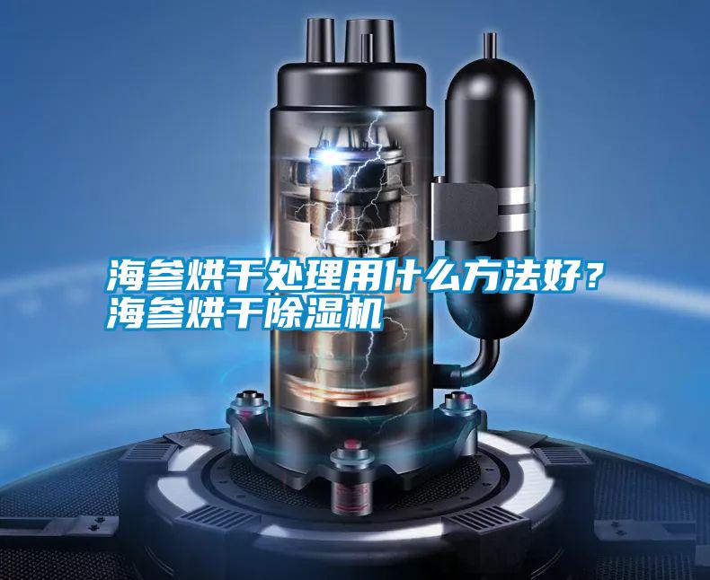 海參烘干處理用什么方法好<div   id=