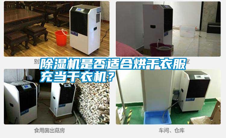 除濕機是否適合烘干衣服充當(dāng)干衣機<div   id=
