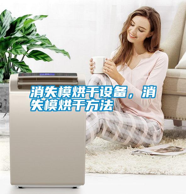 消失模烘干設(shè)備<div   id=