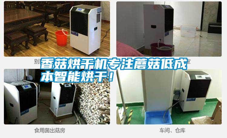 香菇烘干機(jī)專(zhuān)注蘑菇低成本智能烘干!