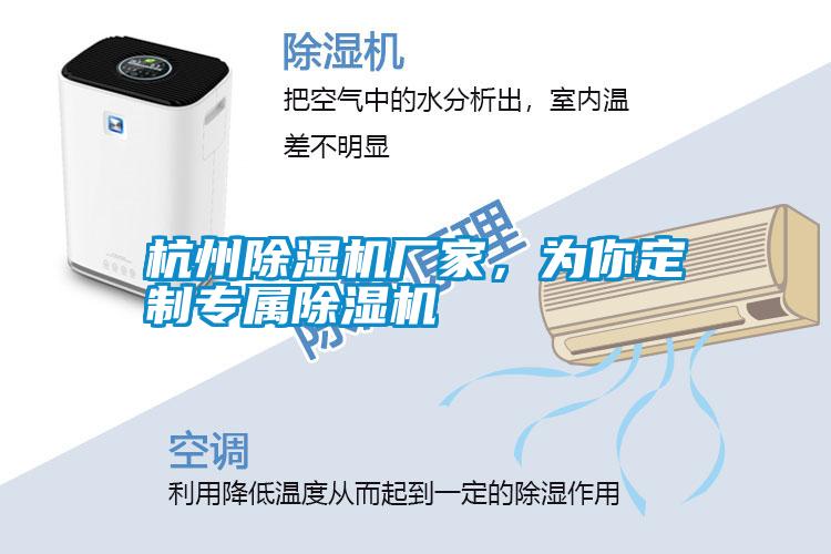 杭州除濕機(jī)廠家<div   id=