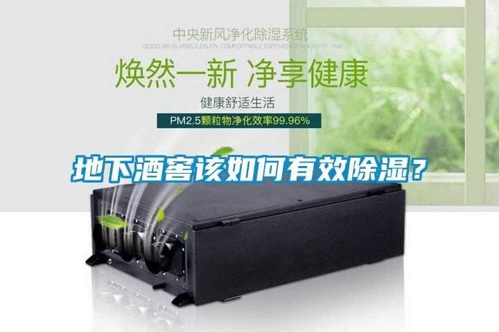 地下酒窖該如何有效除濕<div   id=