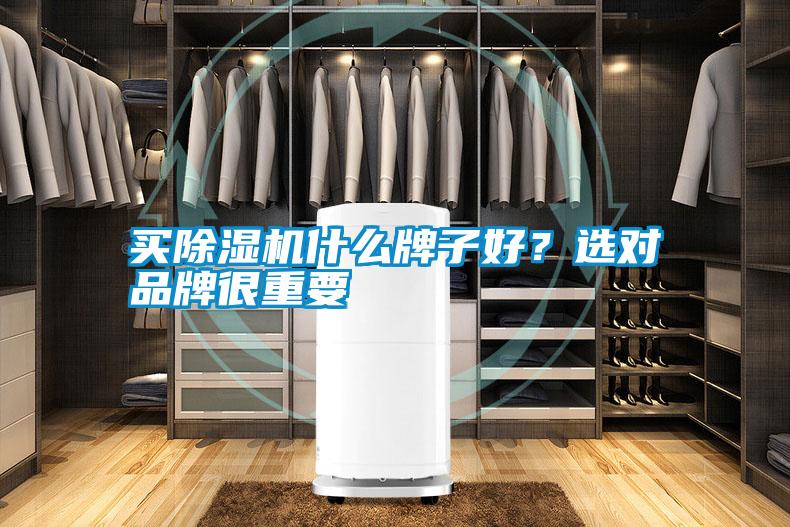 買除濕機什么牌子好<div   id=