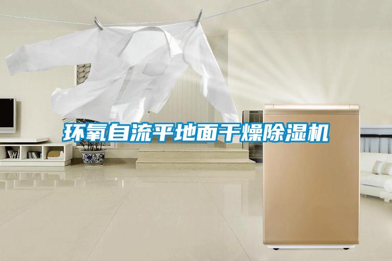 環(huán)氧自流平地面干燥除濕機(jī)