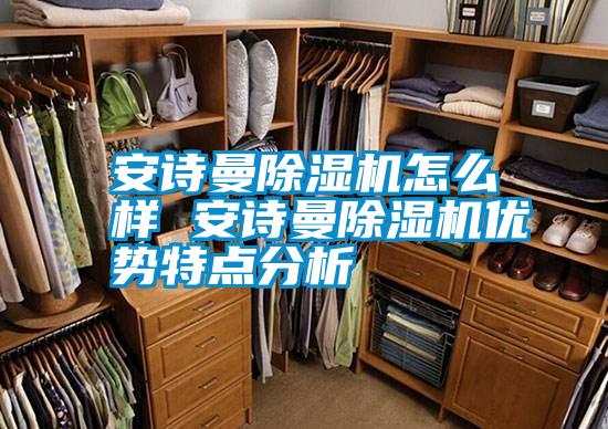 安詩曼除濕機(jī)怎么樣 安詩曼除濕機(jī)優(yōu)勢(shì)特點(diǎn)分析