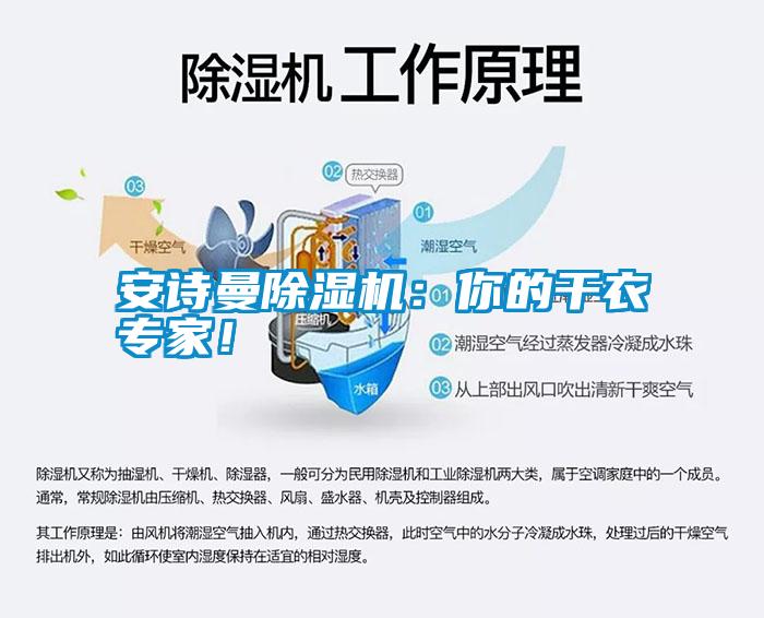 安詩曼除濕機(jī)：你的干衣專家<div   id=