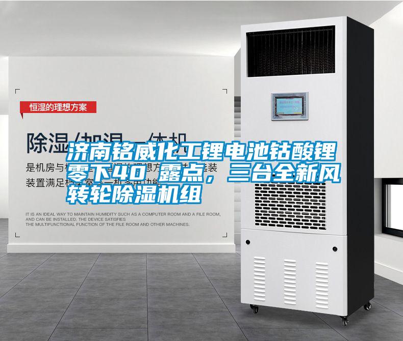 濟(jì)南銘威化工鋰電池鈷酸鋰零下40℃露點(diǎn)<div   id=