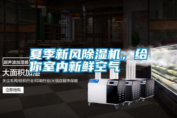 夏季新風(fēng)除濕機(jī)<div   id=