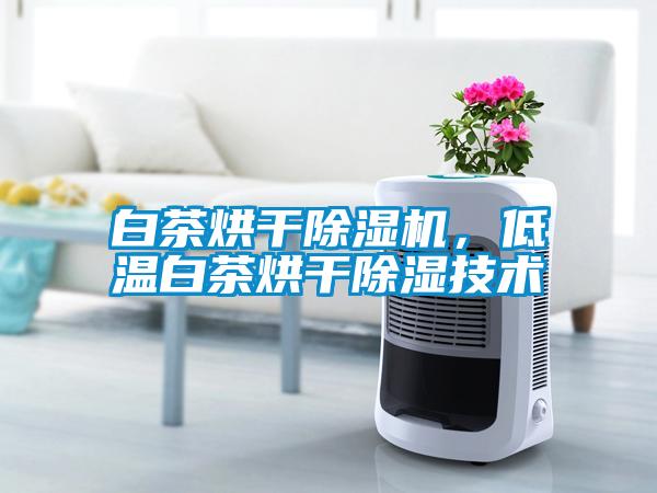 白茶烘干除濕機<div   id=
