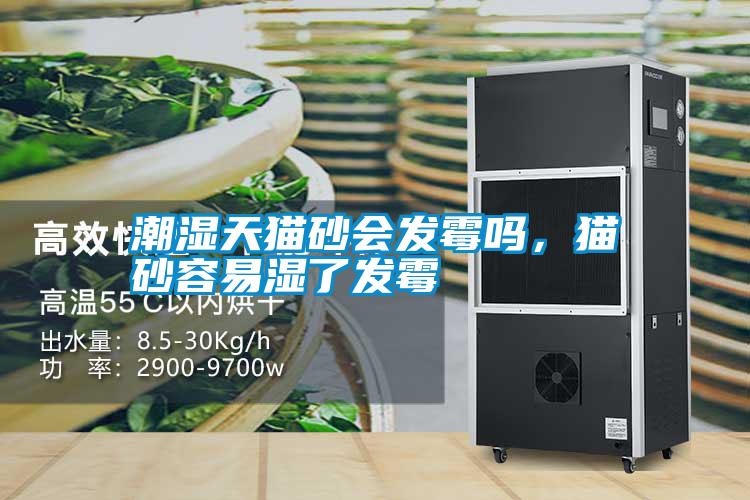 潮濕天貓砂會(huì)發(fā)霉嗎<div   id=