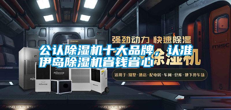 公認(rèn)除濕機(jī)十大品牌<div   id=