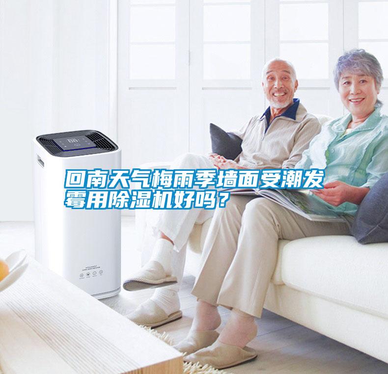 回南天氣梅雨季墻面受潮發(fā)霉用除濕機(jī)好嗎<div   id=