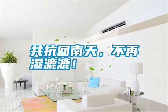 共抗回南天，不再濕漉漉<div   id=