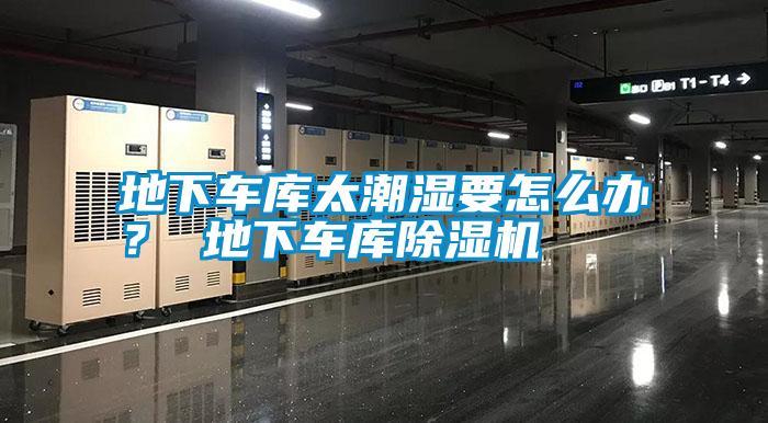 地下車庫太潮濕要怎么辦<div   id=
