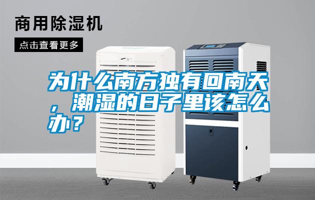 為什么南方獨(dú)有回南天，潮濕的日子里該怎么辦<div   id=