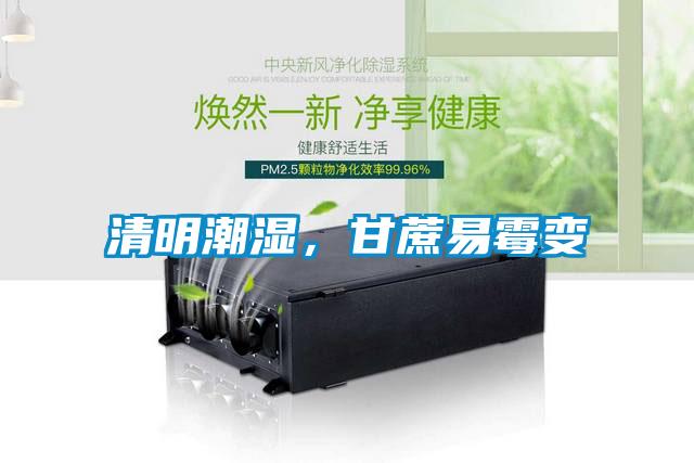 清明潮濕<div   id=