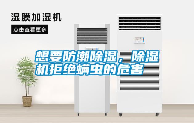 想要防潮除濕<div   id=