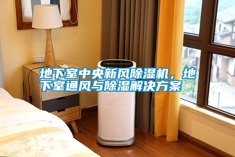 地下室中央新風(fēng)除濕機(jī)<div   id=