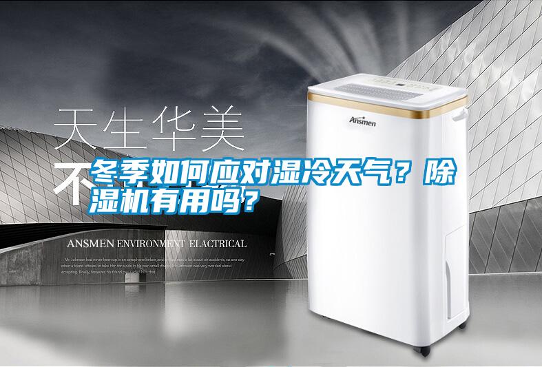 冬季如何應(yīng)對濕冷天氣？除濕機有用嗎<div   id=