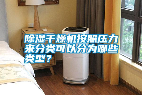 除濕干燥機(jī)按照壓力來(lái)分類(lèi)可以分為哪些類(lèi)型<div   id=
