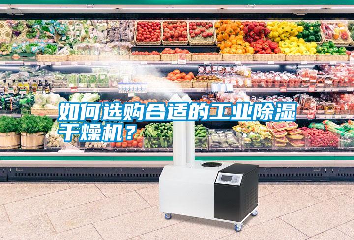 如何選購合適的工業(yè)除濕干燥機(jī)<div   id=