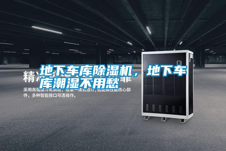 地下車庫除濕機(jī)<div   id=