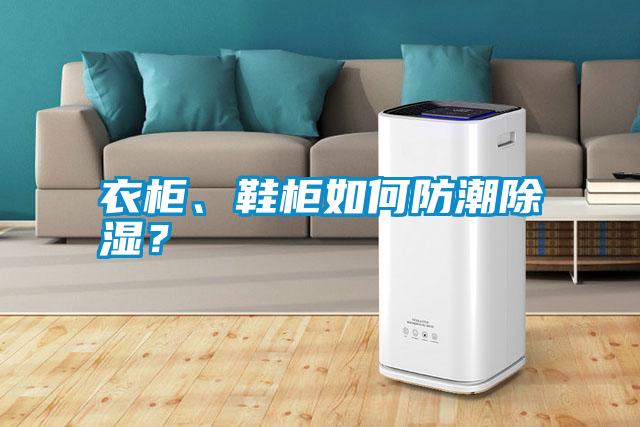 衣柜<div   id=