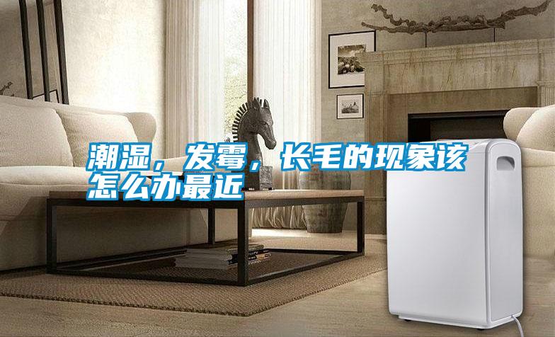 潮濕，發(fā)霉<div   id=