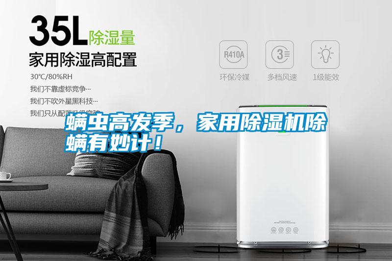 螨蟲高發(fā)季<div   id=