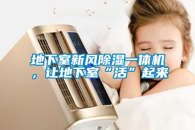 地下室新風(fēng)除濕一體機(jī)，讓地下室“活”起來