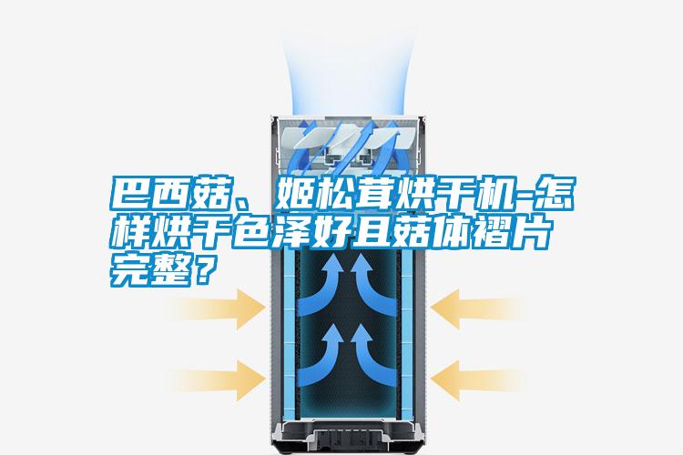巴西菇<div   id=