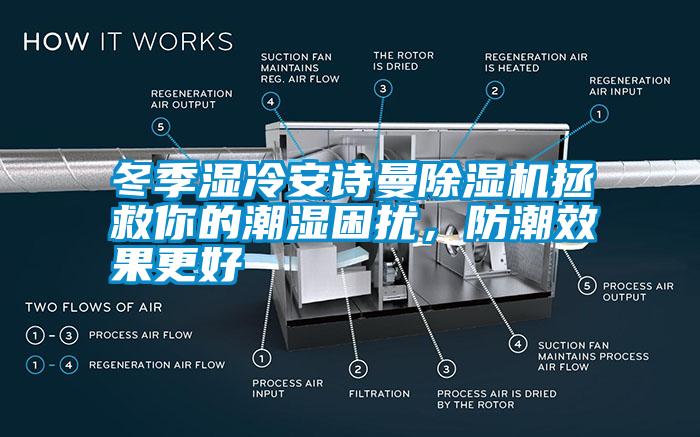 冬季濕冷安詩(shī)曼除濕機(jī)拯救你的潮濕困擾,防潮效果更好