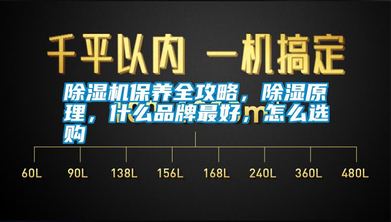 除濕機(jī)保養(yǎng)全攻略，除濕原理<div   id=