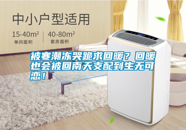 被寒潮凍哭跪求回暖<div   id=