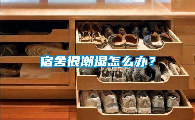 宿舍很潮濕怎么辦<div   id=