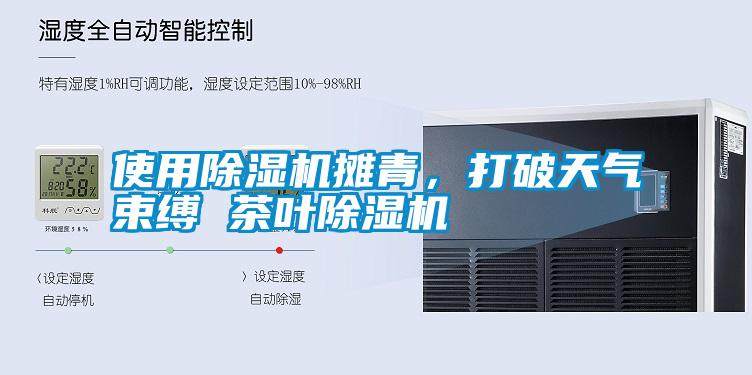 使用除濕機(jī)攤青<div   id=
