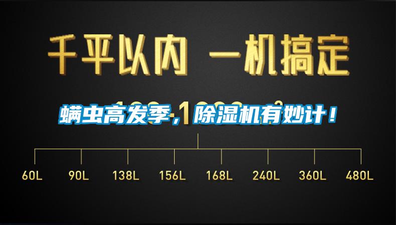 螨蟲高發(fā)季<div   id=