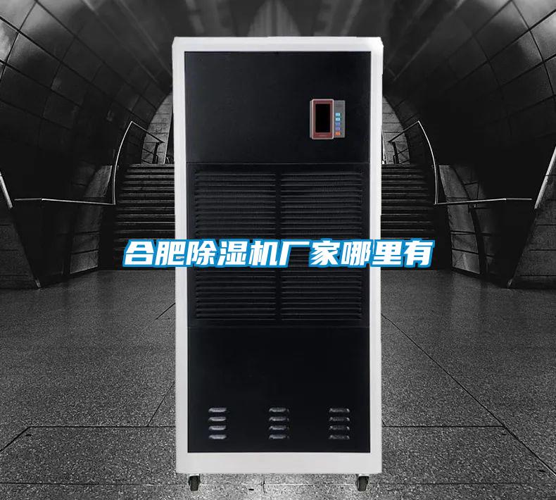 合肥除濕機(jī)廠家哪里有