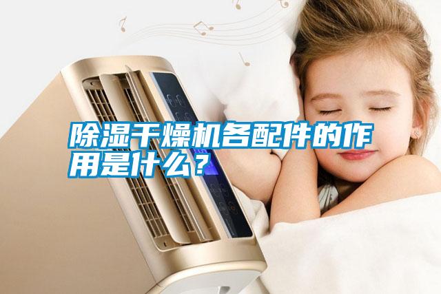 除濕干燥機(jī)各配件的作用是什么<div   id=