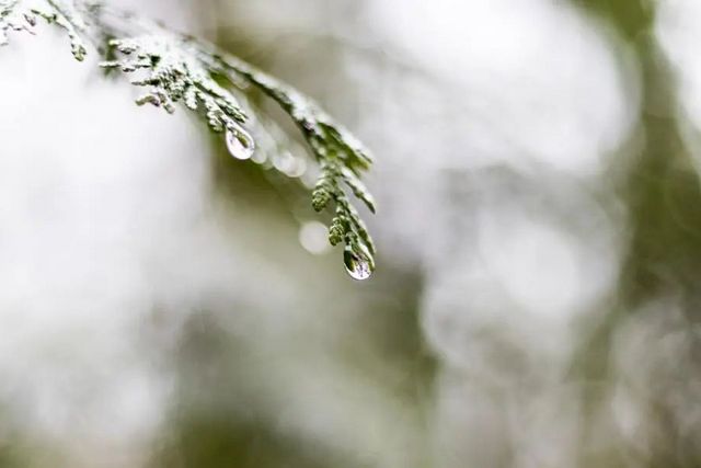 空氣濕度大帶來的危害有哪些，你知道嗎？
