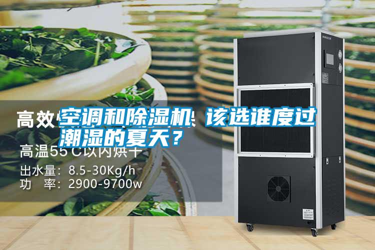 空調(diào)和除濕機(jī) 該選誰度過潮濕的夏天<div   id=