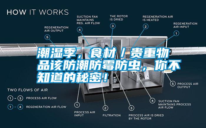 潮濕季<div   id=