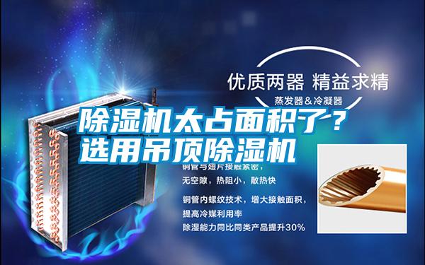 除濕機(jī)太占面積了<div   id=