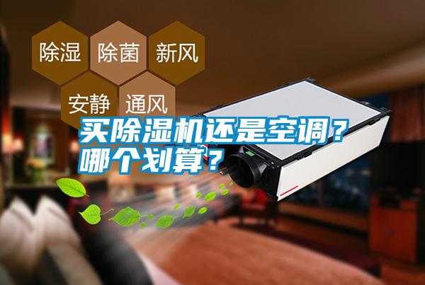 買除濕機還是空調(diào)<div   id=