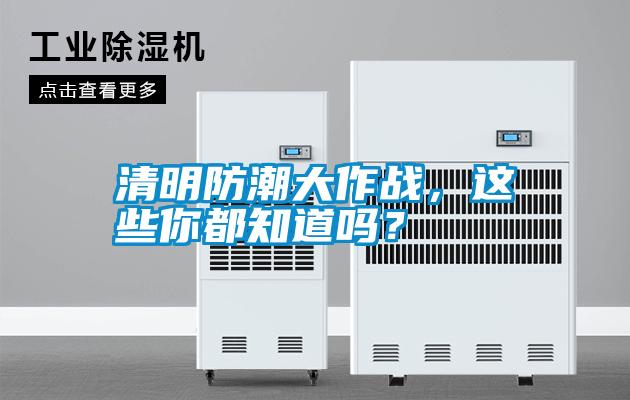 清明防潮大作戰(zhàn)<div   id=