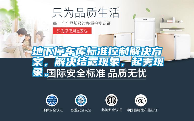 地下停車庫(kù)標(biāo)準(zhǔn)控制解決方案<div   id=