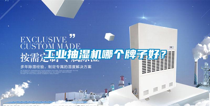 工業(yè)抽濕機哪個牌子好<div   id=
